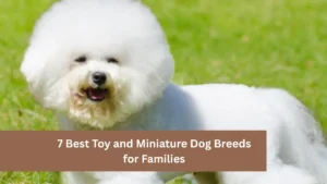 7 Best Toy and Miniature Dog Breeds for Families