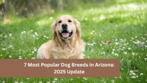 7 Most Popular Dog Breeds in Arizona: 2025 Update