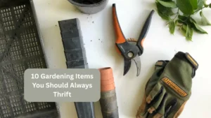 10 Gardening Items You Should Always Thrift