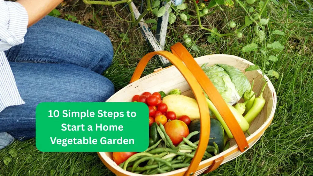 10 Simple Steps to Start a Home Vegetable Garden