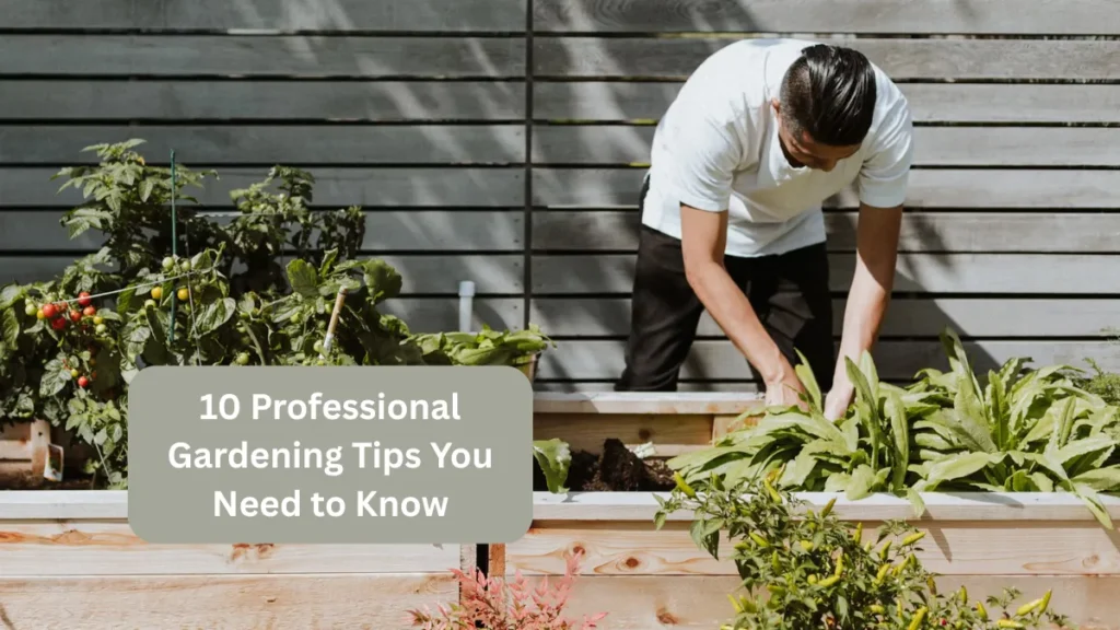 10 Professional Gardening Tips You Need to Know