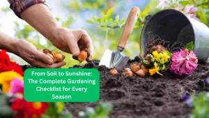 From Soil to Sunshine: The Complete Gardening Checklist for Every Season