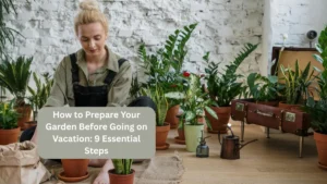 How to Prepare Your Garden Before Going on Vacation: 9 Essential Steps