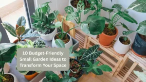 10 Budget-Friendly Small Garden Ideas to Transform Your Space