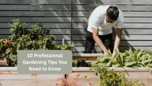 10 Professional Gardening Tips You Need to Know