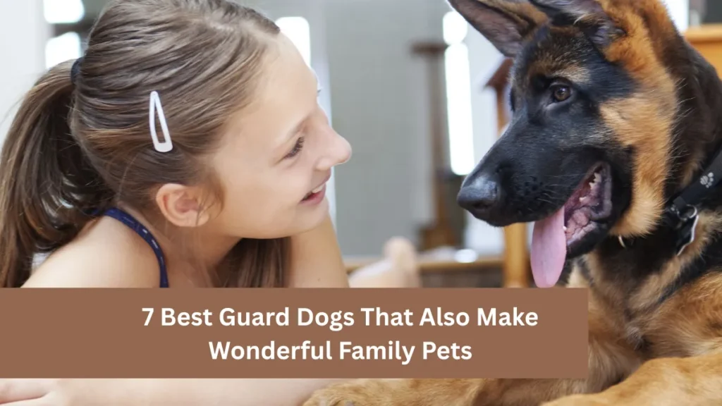 7 Best Guard Dogs That Also Make Wonderful Family Pets
