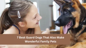 7 Best Guard Dogs That Also Make Wonderful Family Pets