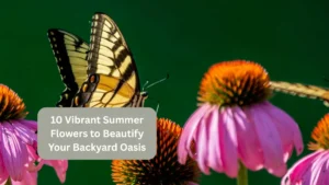 10 Vibrant Summer Flowers to Beautify Your Backyard Oasis