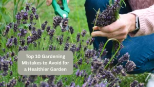 Top 10 Gardening Mistakes to Avoid for a Healthier Garden
