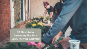 10 Must-Know Gardening Tips for a Lush, Thriving Backyard
