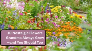 10 Nostalgic Flowers Grandma Always Grew—and You Should Too