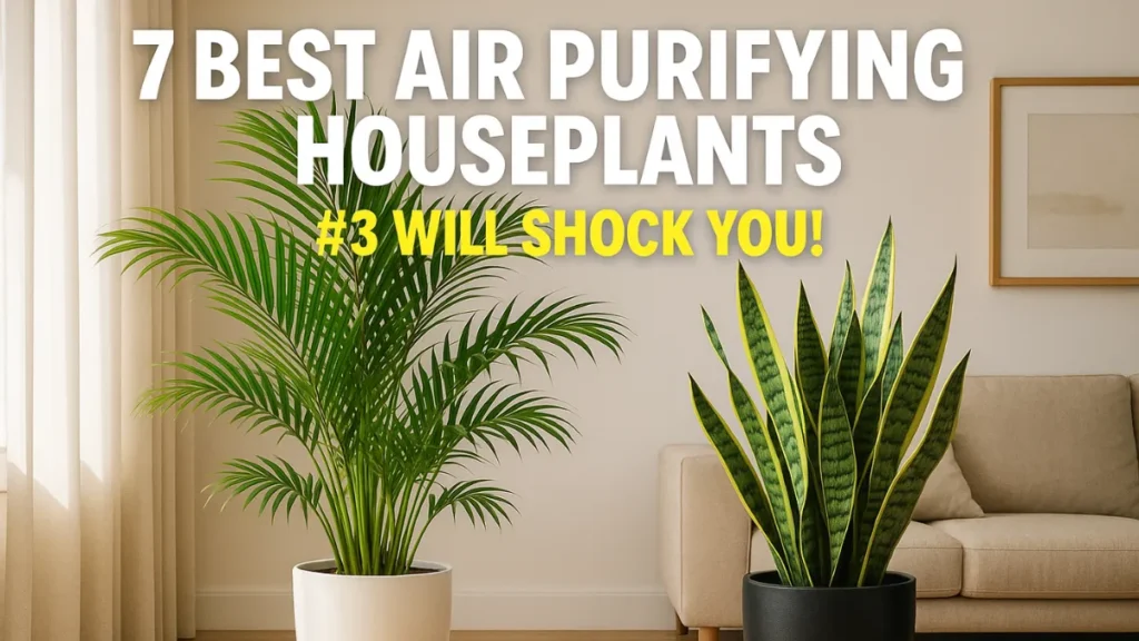 7 Best Air Purifying Houseplants For Your Home