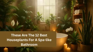 These Are The 12 Best Houseplants For A Spa-like Bathroom