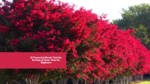 10 Flowering Shrubs That Are So Easy to Grow—Even for Beginners
