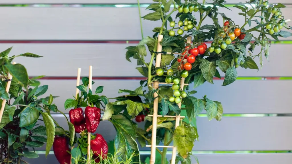 7 Easy-to-Grow Veggies Perfect for Small Spaces