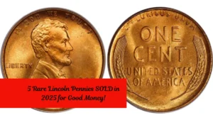 5 Rare Lincoln Pennies SOLD in 2025 for Good Money!